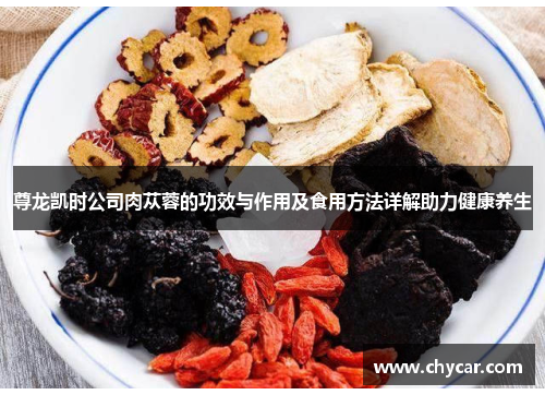 尊龙凯时公司肉苁蓉的功效与作用及食用方法详解助力健康养生