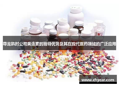 尊龙凯时公司黄连素的独特优势及其在现代医药领域的广泛应用